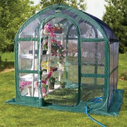 6 x 6 ft. Green and Clear Polyethylene Greenhouse